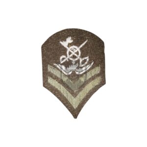 (REPRODUCTION) WW1 AEF Insgnia,Badges Patches, Chevrons