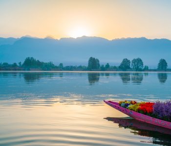 Unique Local Experiences